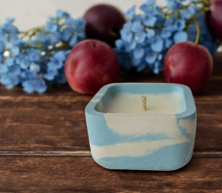 Svíčka - švestka 002